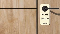 Hotel Antines