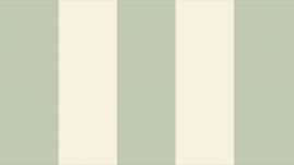 Brand Strategy, Brand Design, Brand Identity