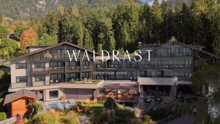 Rebranding, Brand Strategy, Visual Identity, Web Design.